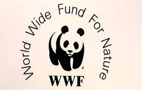 WWF accused of funding guards who torture and kill in poaching war ...